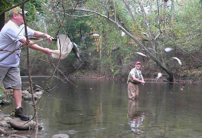 Nj Trout Fishing Stocking Schedule